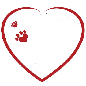 StreetHearts Animal Rescue